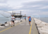 Run in the Sea, c’è tempo fino a mercoledì per iscriversi alla gara del 21 agosto in Darsena