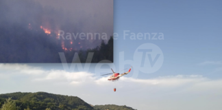 Incendio Casola Valsenio. Coldiretti: “Terreni e pascoli distrutti dal rogo, rimettere l’agricoltore al centro dell’ecosistema bosco”