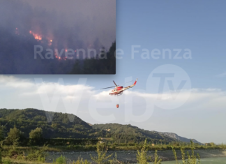 Incendio Casola Valsenio. Coldiretti: “Terreni e pascoli distrutti dal rogo, rimettere l’agricoltore al centro dell’ecosistema bosco”