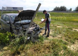 Due ragazzi volano fuori dall’autostrada: la macchina distrugge diversi filari di un vigneto