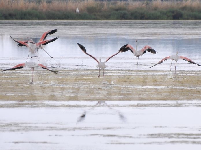 panorami di acqua e cielo
