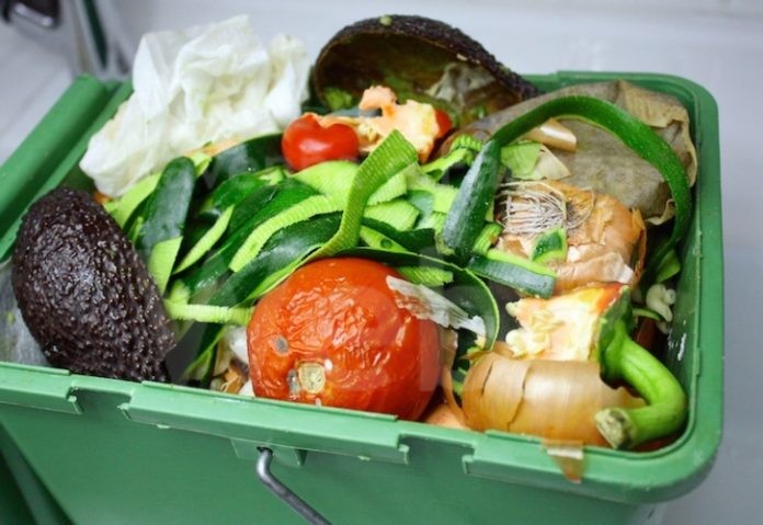 spreco-alimentare-cibo-cestino-spazzatura-by-patryssia-fotolia-750x516
