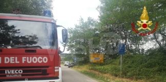 Maltempo: alberi caduti e sottopassi allagati in provincia di Ravenna