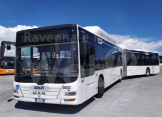 Navetto Mare: servizio potenziato con Bus da 18mt nei prossimi due weekend