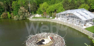 Il secondo appuntamento dell’itinerario gastronomico “Valli & Pinete” fa tappa al Ristorante La Campaza