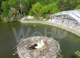 Il secondo appuntamento dell’itinerario gastronomico “Valli & Pinete” fa tappa al Ristorante La Campaza