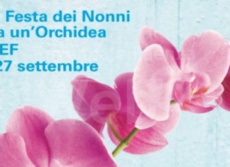 I volontari dell’Avis scendono in piazza a fianco dell’Unicef a Russi