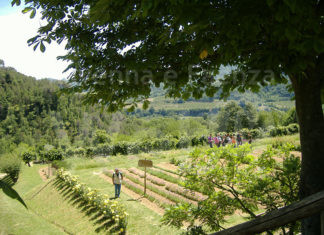 Ripartono le visite guidate al Giardino delle Erbe di Casola