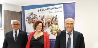 Luca Bracci, presidente di Confcooperative Ravenna-Rimini, eletto vicepresidente di Confcooperative Emilia-Romagna