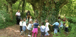 Estate e bambini: sul sito dell’Unione della Romagna Faentina l’elenco delle attività rivolte ai più piccoli