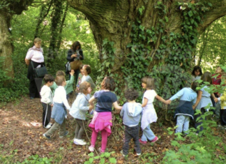 Estate e bambini: sul sito dell’Unione della Romagna Faentina l’elenco delle attività rivolte ai più piccoli