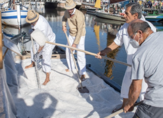 Ventiquattresima edizione di Sapore di Sale, un successo anche in termini numerici