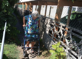 Minichini (Lista per Ravenna): “Degrado e insicurezza in uno stradello pedonale per accedere alla spiaggia di Lido Adriano”