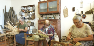 Da domani a Villanova la Sagra delle Erbe Palustri