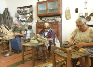 Da domani a Villanova la Sagra delle Erbe Palustri