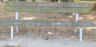 Bertolino (AC): “Degrado nell’area verde di via Gioberti”