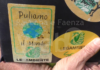 Torna l’iniziativa “Puliamo il mondo”