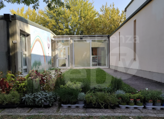 Lugo: nuove piantine donate alla scuola dell’infanzia grazie alla generosità di due genitori