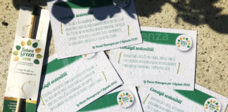 Unione: un laboratorio di idee per vincere 2mila euro e realizzare un progetto dedicato all’ambiente