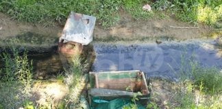 Punta Marina: denuncia di atti di vandalismo ai danni di una colonia felina