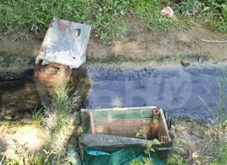 Punta Marina: denuncia di atti di vandalismo ai danni di una colonia felina