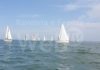 Circolo Nautico Cervia, grande partecipazione alla Veleggiata del Badilaccio