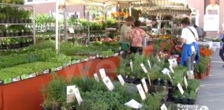 Tornano gli eventi in centro: arrivano i prodotti tipici di Bell’Italia e il verde di Ravenna in Fiore