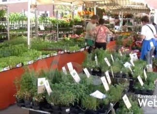 Tornano gli eventi in centro: arrivano i prodotti tipici di Bell’Italia e il verde di Ravenna in Fiore