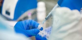 Coronavirus: 42 guarigioni e 48 nuovi casi nel ravennate