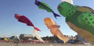 Cervia il 40esimo “Festival dell’Aquilone”