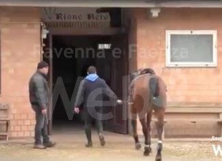 Palio: le proposte del mondo rionale per il “Bruno Neri” e per il centro civico rioni