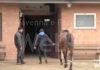 Nuovo impianto ippico per l’allenamento al Centro Civico Rioni di Faenza