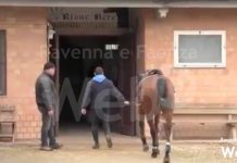 Nuovo impianto ippico per l’allenamento al Centro Civico Rioni di Faenza