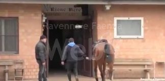 Nuovo impianto ippico per l’allenamento al Centro Civico Rioni di Faenza