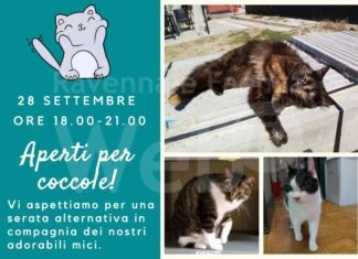 Ritorna la serata all’insegna delle coccole… all’Infermeria Felina Enpa di Bizzuno