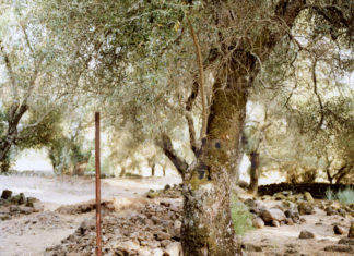 Officina Matteucci inaugura “Nel pozzo”, mostra fotografica di Nicola Baldazzi