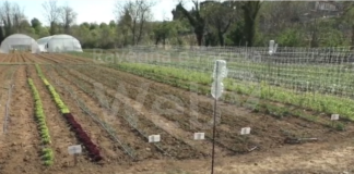 L’orto di Farsi Prossimo apre le sue porte al pubblico sabato 24 ottobre