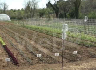 L’orto di Farsi Prossimo apre le sue porte al pubblico sabato 24 ottobre