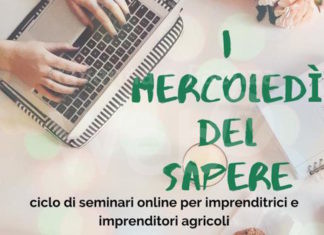 Coldiretti RA: Donne Impresa Ravenna celebra l’International Internet Day lanciano i ‘Mercoledì del sapere’