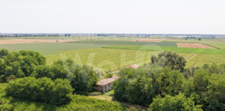 Alfonsine: una tour guidato in bicicletta da Casa Monti fino al Reno