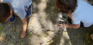 Unione: “A scuola di futuro”, progetti, percorsi e iniziative per educare alla sostenibilità