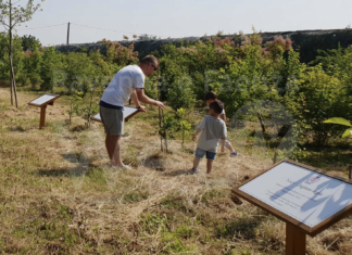 Bagnacavallo, “Un albero e un bambino”: l’edizione 2020 sabato al Pantaleone