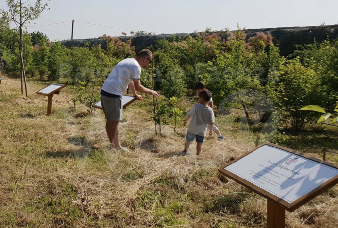 Schermata 2020-10-07 alle 14.56.01