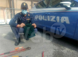 Sorpreso a rubare in un’azienda: arrestato e condannato 58enne