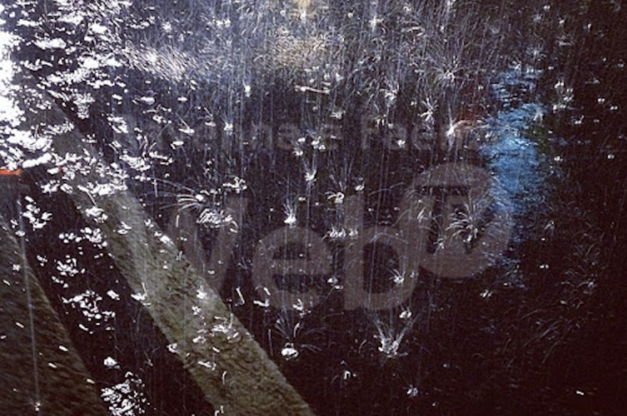 Schermata 2020-10-14 alle 11.51.38