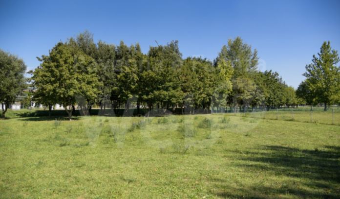 Schermata 2020-10-14 alle 12.17.04