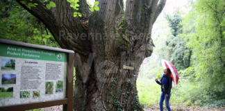 Giornate Fai d’autunno, visite guidate a Bagnacavallo e Bagnara di Romagna