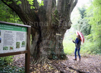 Giornate Fai d’autunno, visite guidate a Bagnacavallo e Bagnara di Romagna