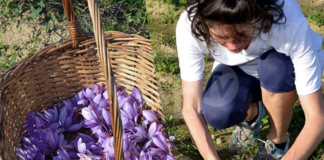 Al via la prima tappa del progetto “Arte Agricoltura – storie di donne e di mani che producono”