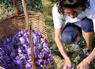 Al via la prima tappa del progetto “Arte Agricoltura – storie di donne e di mani che producono”